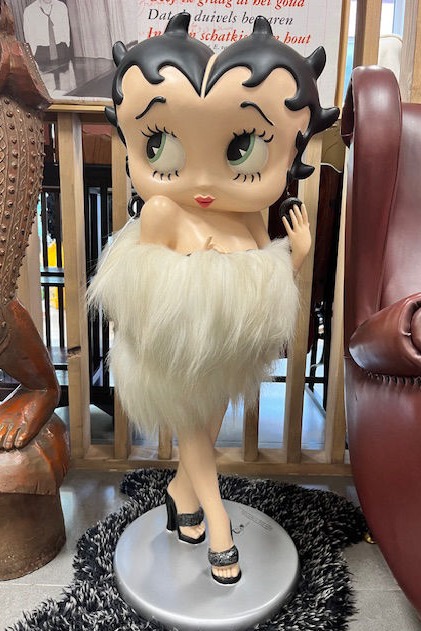 The Collector's Vault