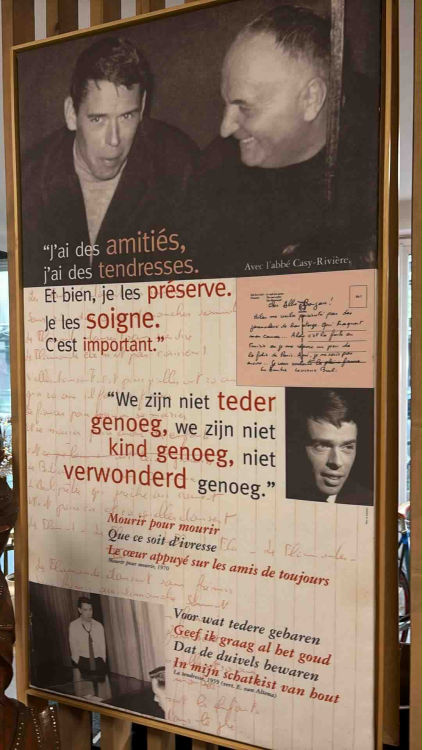 The Collector's Vault