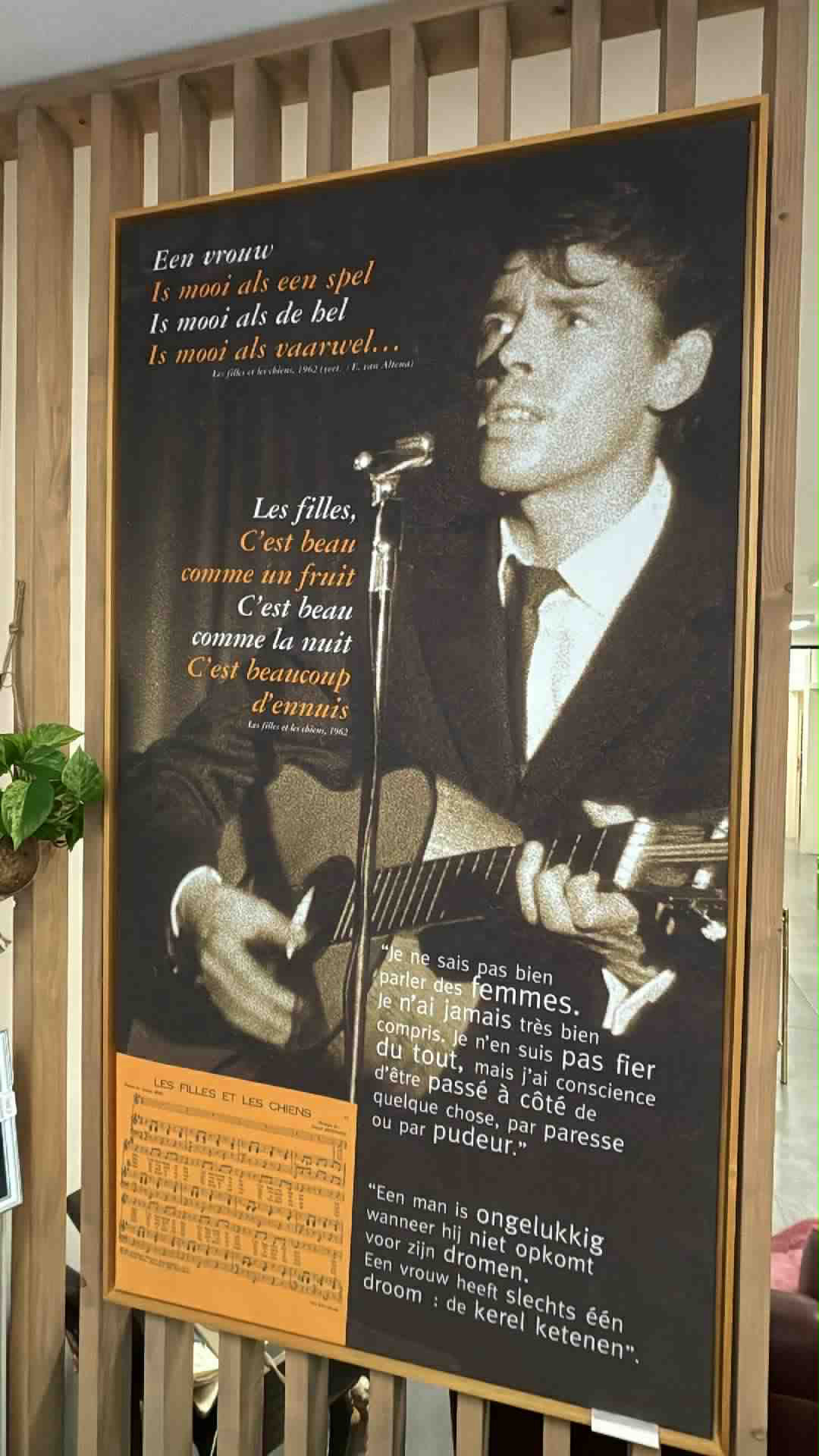 The Collector's Vault