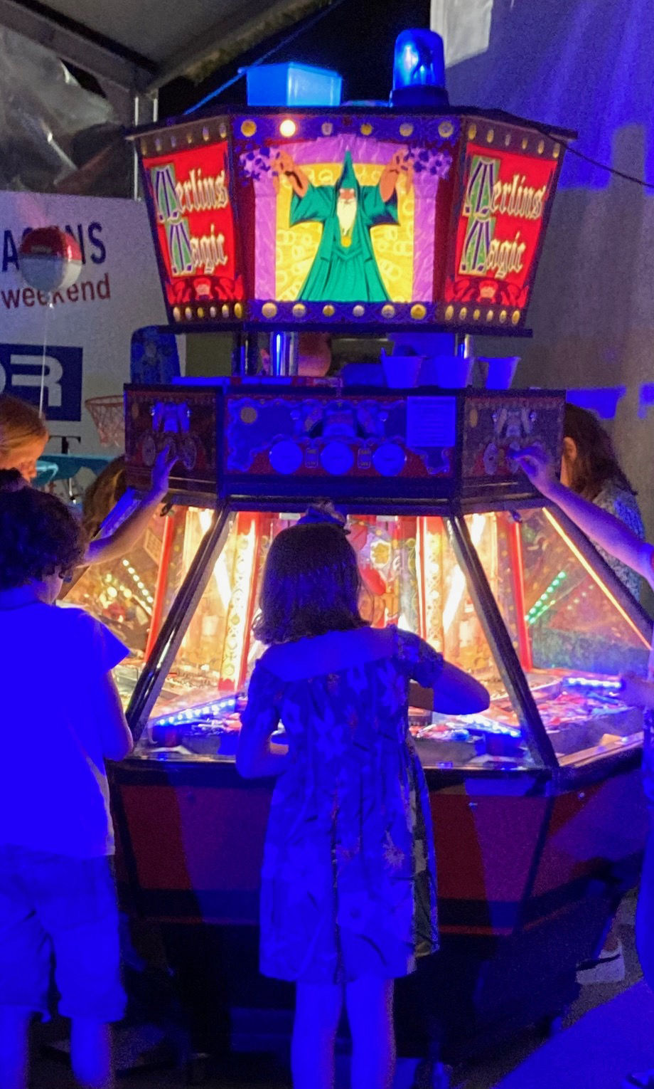 The Collector's Vault