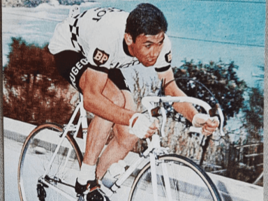 The Collector's Vault