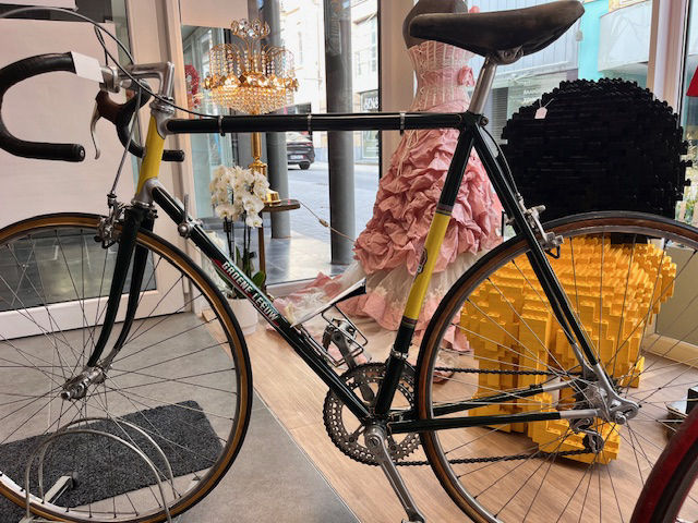 The Collector's Vault