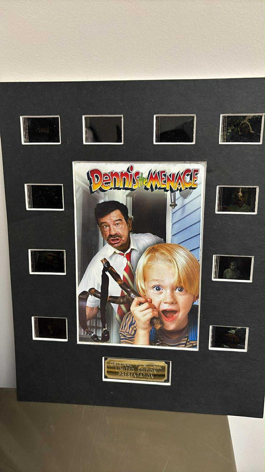 The Collector's Vault