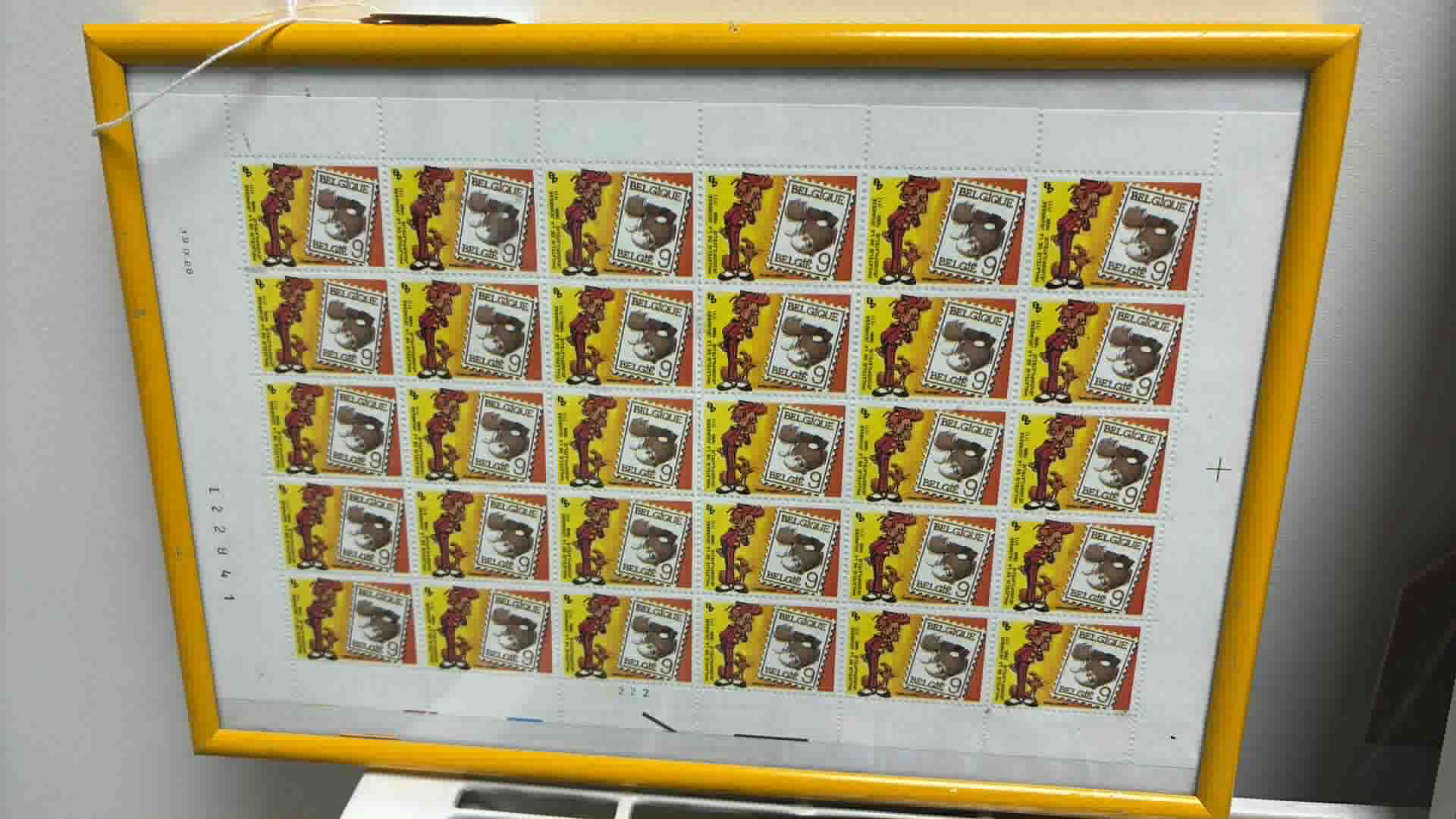 The Collector's Vault